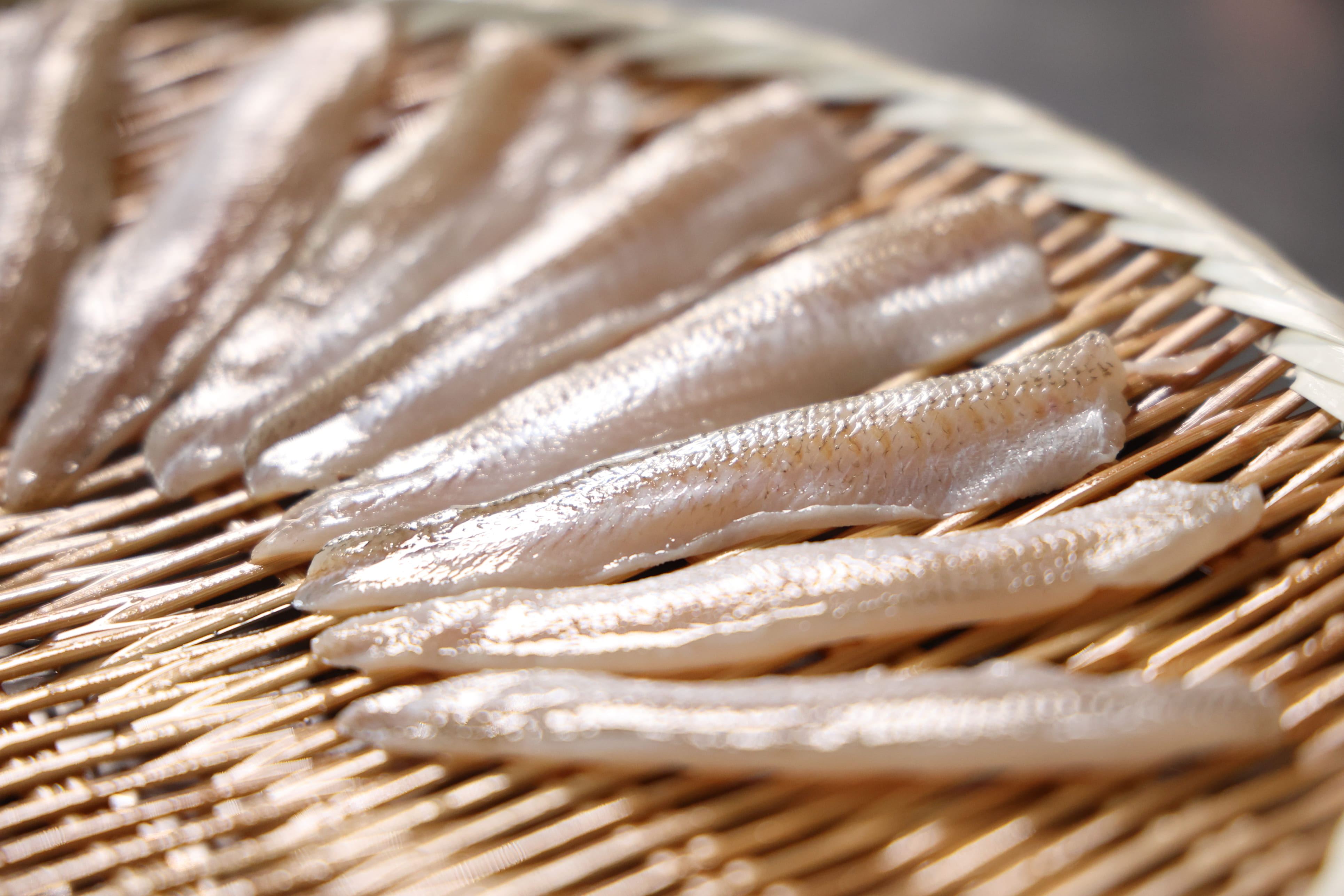 すしのダネ知識 江戸前鮨は穴子の魚竹寿し 継承される江戸前鮨の伝統と文化を愉しむ